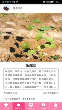 豆拍拍照识物