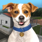 动物收容所(Animal Shelter Simulator)