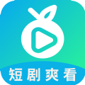 滨果大全app