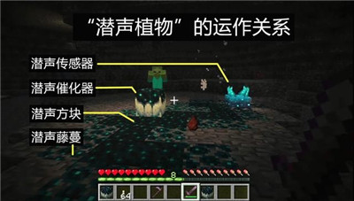 我的世界1.19.20.22国际版