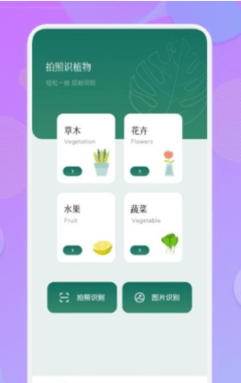 智能识图识物